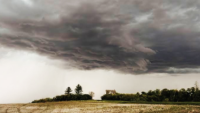 Weather Update: তুমুল বৃষ্টিতে ভাসতে চলেছে বঙ্গ! 